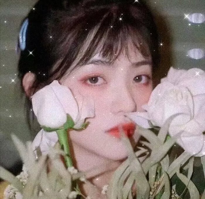 星光大盗